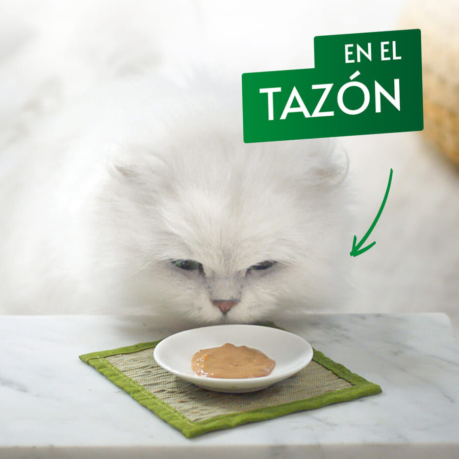 5 sobres x 10 g Gourmet Nature&rsquo;s Creations Snack H&uacute;medo de Pollo para gatos, , large indicador imagen numero 5